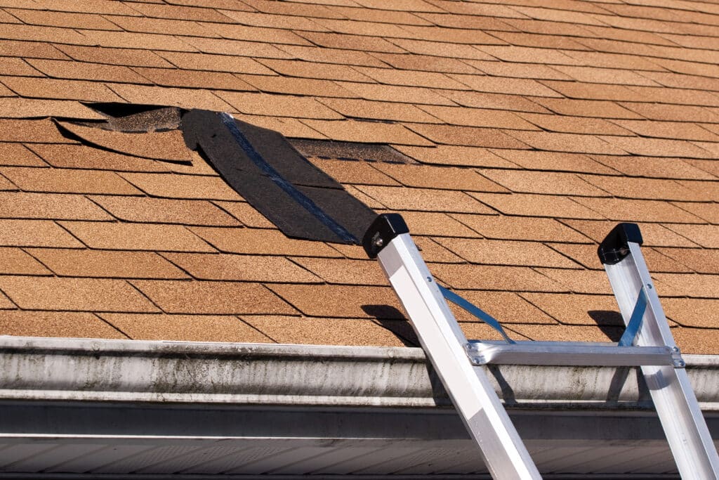 Damaged roof shingles in need of repair